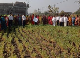 टाकरखेड वायाळ येथे महिला शेतीशाळा वर्ग क्र. ४ व पोखरा अंतर्गत विविध कृषी योजनांची माहिती कार्यक्रम संपन्न